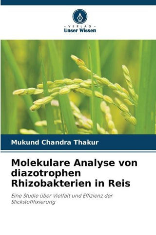 Molekulare Analyse von diazotrophen Rhizobakterien in Reis