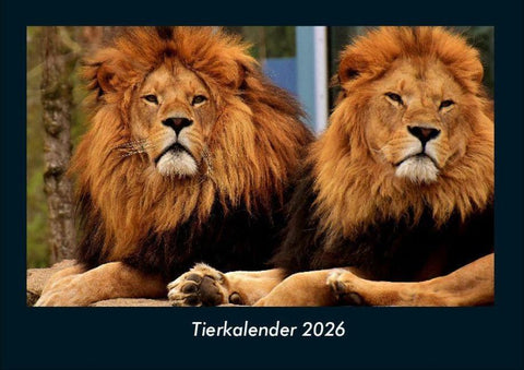 Tierkalender 2026 Fotokalender DIN A4