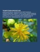Trompetenbaumgewächse