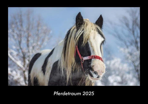 Pferdetraum 2025 Fotokalender DIN A3