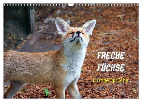 Freche Füchse - lustige Sprüche (Wandkalender 2026 DIN A3 quer), CALVENDO Monatskalender