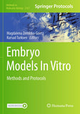Embryo Models In Vitro