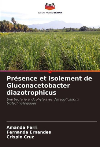 Présence et isolement de Gluconacetobacter diazotrophicus