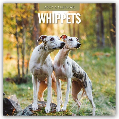 Whippets – Whippet 2027 – 16-Monatskalender