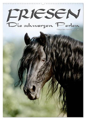 Friesen - die schwarzen Perlen (Wandkalender 2026 DIN A2 hoch), CALVENDO Monatskalender