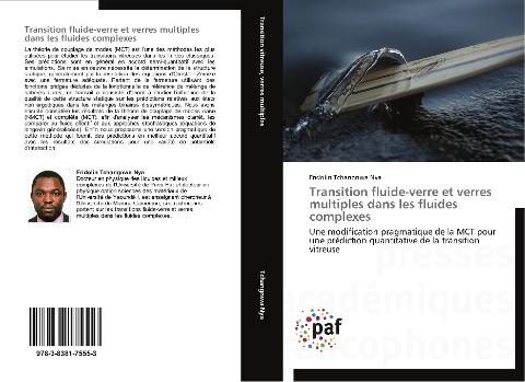 Transition fluide-verre et verres multiples dans les fluides complexes