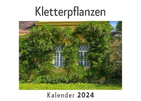 Kletterpflanzen (Wandkalender 2024, Kalender DIN A4 quer, Monatskalender im Querformat mit Kalendarium, Das perfekte Geschenk)