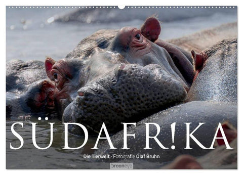 Südafrika - Die Tierwelt (Wandkalender 2026 DIN A2 quer), CALVENDO Monatskalender