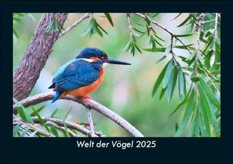 Welt der Vögel 2025 Fotokalender DIN A5