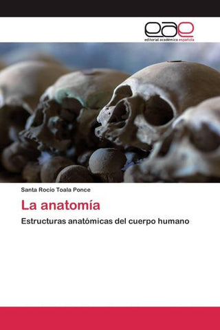 La anatomía