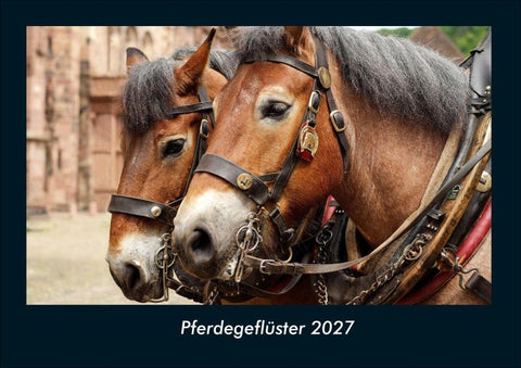 Pferdegeflüster 2027 Fotokalender DIN A4