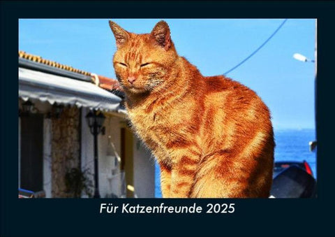 Für Katzenfreunde 2025 Fotokalender DIN A5