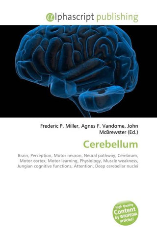 Cerebellum
