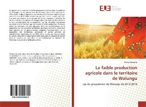 La faible production agricole dans le territoire de Walungu