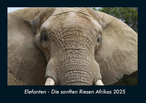 Elefanten - Die sanften Riesen Afrikas 2025 Fotokalender DIN A4