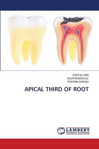 APICAL THIRD OF ROOT