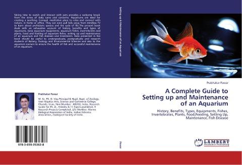 A Complete Guide to Setting up and Maintenance of an Aquarium
