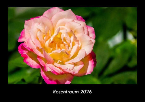 Rosentraum 2026 Fotokalender DIN A3