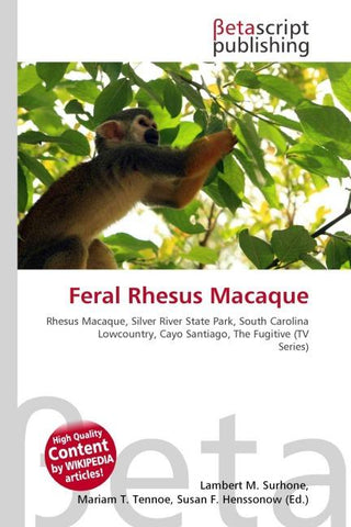 Feral Rhesus Macaque