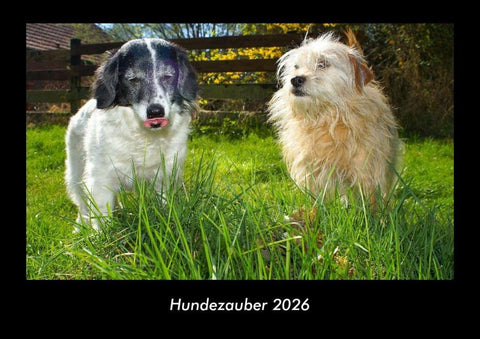 Hundezauber 2026 Fotokalender DIN A3