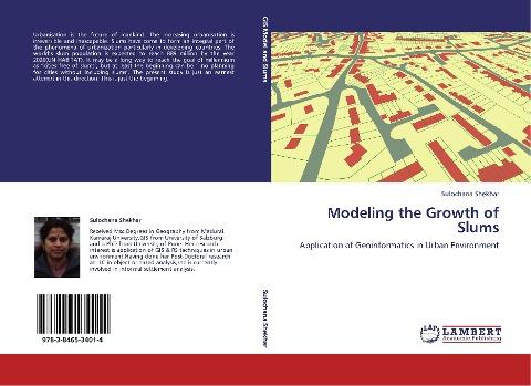 Modeling the Growth of Slums