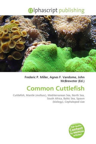 Common Cuttlefish