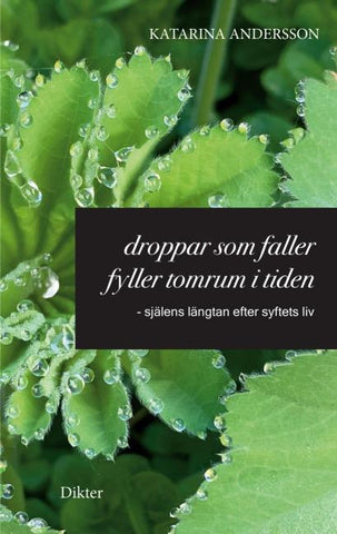 Droppar som faller fyller tomrum i tiden