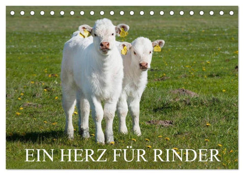 Ein Herz für Rinder (Tischkalender 2026 DIN A5 quer), CALVENDO Monatskalender