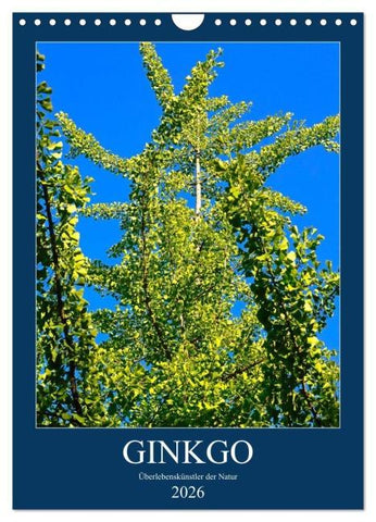Ginkgo (Wandkalender 2026 DIN A4 hoch), CALVENDO Monatskalender