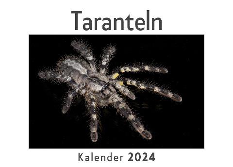 Taranteln (Wandkalender 2024, Kalender DIN A4 quer, Monatskalender im Querformat mit Kalendarium, Das perfekte Geschenk)