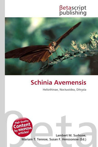 Schinia Avemensis