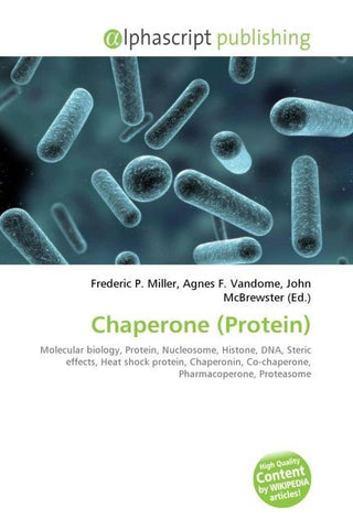 Chaperone (Protein)