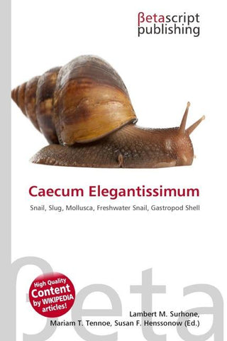 Caecum Elegantissimum