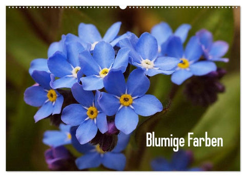 Blumige Farben (Wandkalender 2026 DIN A2 quer), CALVENDO Monatskalender