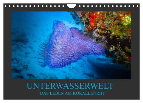 Unterwasserwelt - Das Leben am Korallenriff (Wandkalender 2026 DIN A4 quer), CALVENDO Monatskalender