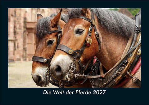 Die Welt der Pferde 2027 Fotokalender DIN A5