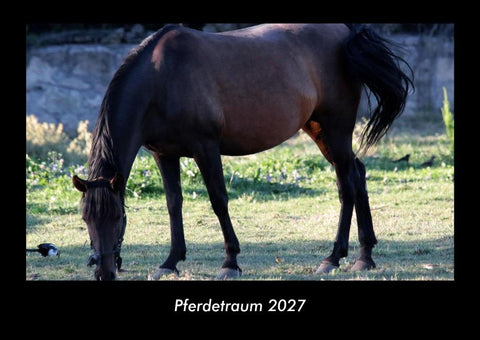 Pferdetraum 2027 Fotokalender DIN A3