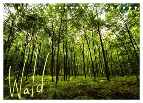 Wald (Tischkalender 2026 DIN A5 quer), CALVENDO Monatskalender