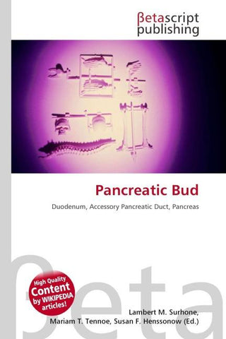 Pancreatic Bud