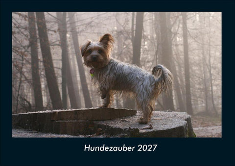 Hundezauber 2027 Fotokalender DIN A4