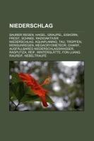 Niederschlag