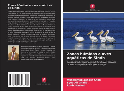Zonas húmidas e aves aquáticas de Sindh
