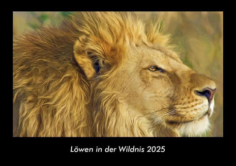 Löwen in der Wildnis 2025 Fotokalender DIN A3