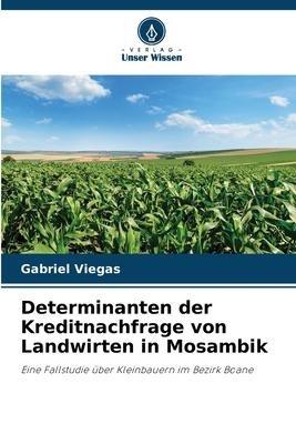Determinanten der Kreditnachfrage von Landwirten in Mosambik