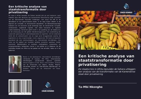 Een kritische analyse van staatstransformatie door privatisering