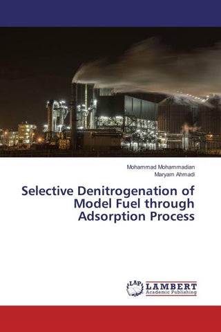 Selective Denitrogenation of Model Fuel through Adsorption Process