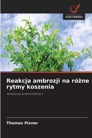 Reakcja ambrozji na ró¿ne rytmy koszenia
