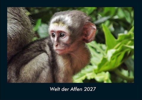 Welt der Affen 2027 Fotokalender DIN A4