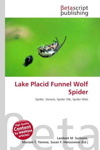 Lake Placid Funnel Wolf Spider