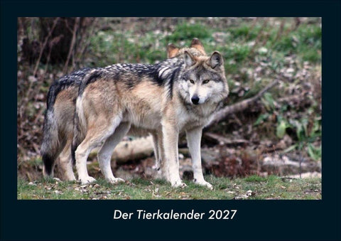 Der Tierkalender 2027 Fotokalender DIN A4